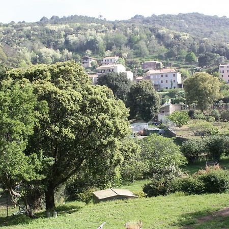 A Cardiccia Loc Saisonnieres Piana Apartamento Piana  Exterior foto