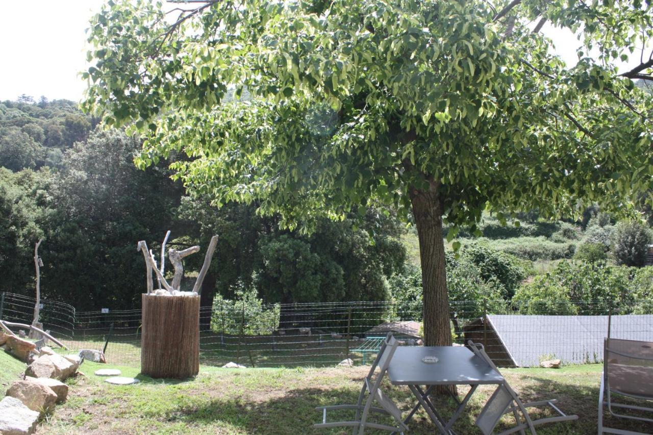 A Cardiccia Loc Saisonnieres Piana Apartamento Piana  Exterior foto