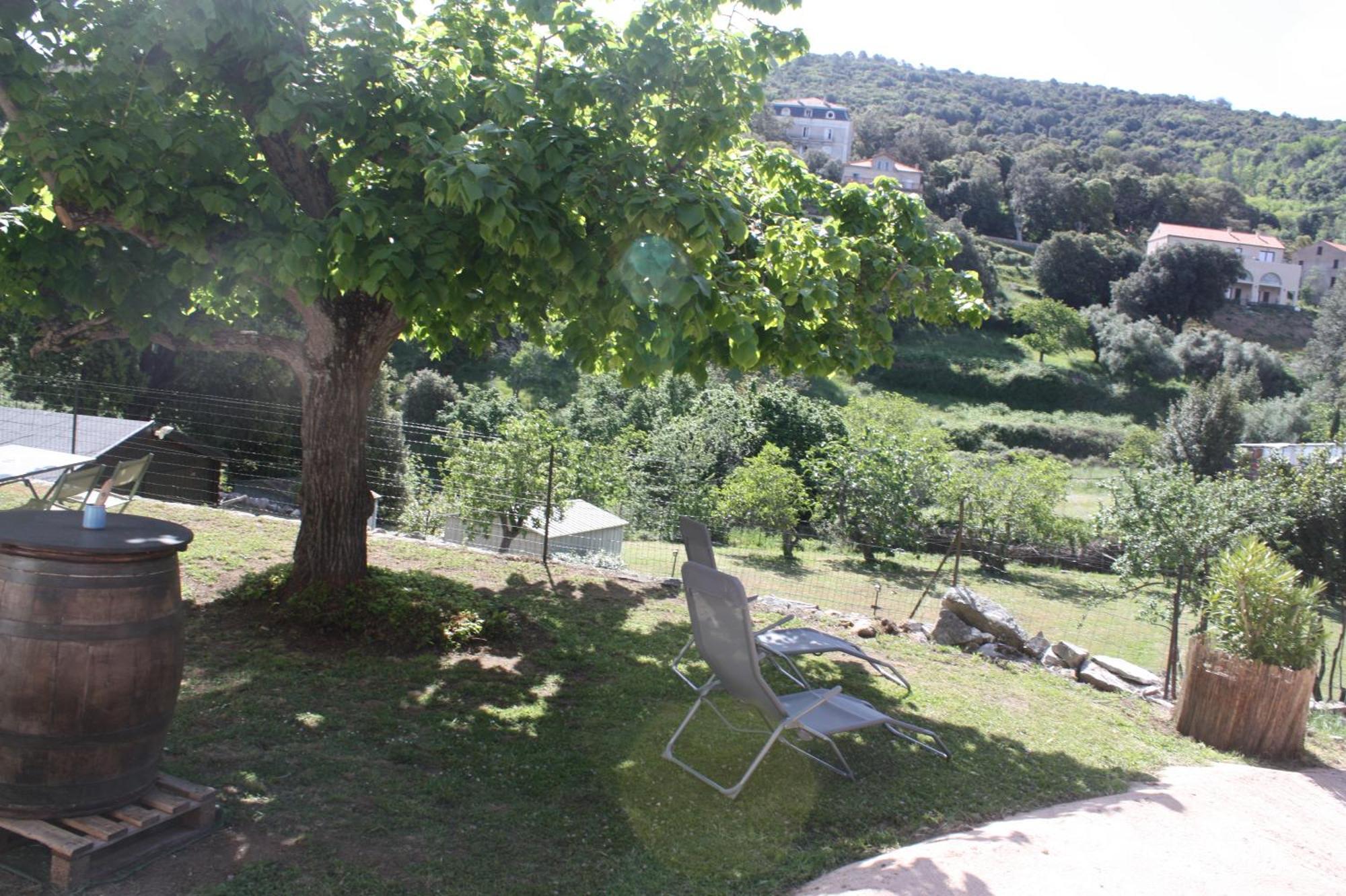 A Cardiccia Loc Saisonnieres Piana Apartamento Piana  Exterior foto
