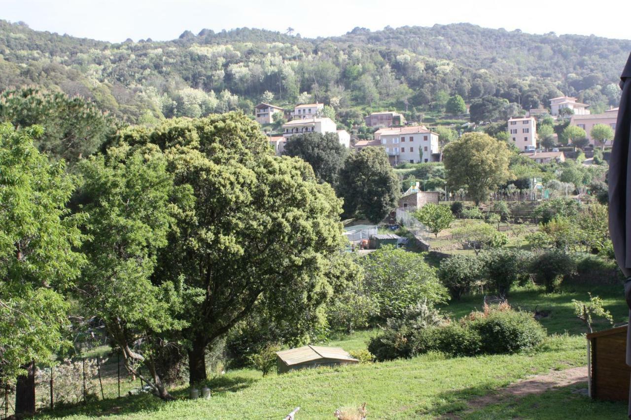A Cardiccia Loc Saisonnieres Piana Apartamento Piana  Exterior foto
